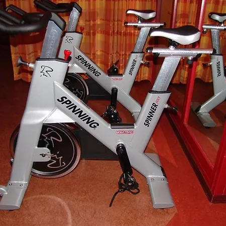 Der Loewe Lebe Frei Leogang