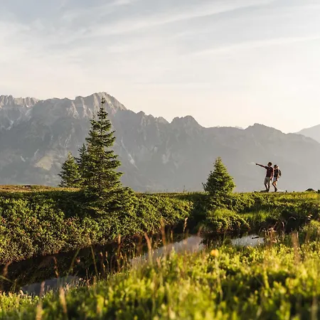 Der Löwe Lebe Frei Leogang