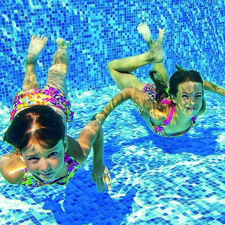 Der Löwe Lebe Frei Leogang