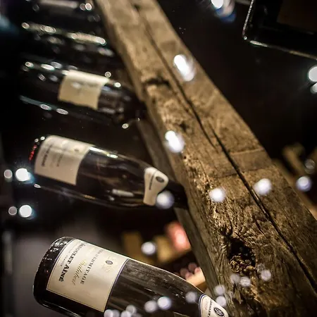 Der Loewe Lebe Frei Ξενοδοχείο 4*