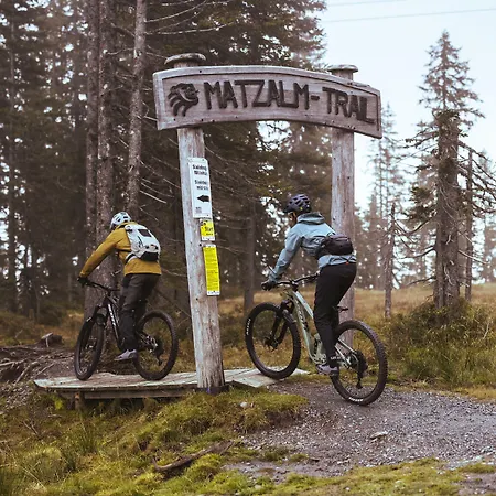 Hotel Der Loewe Lebe Frei 4*