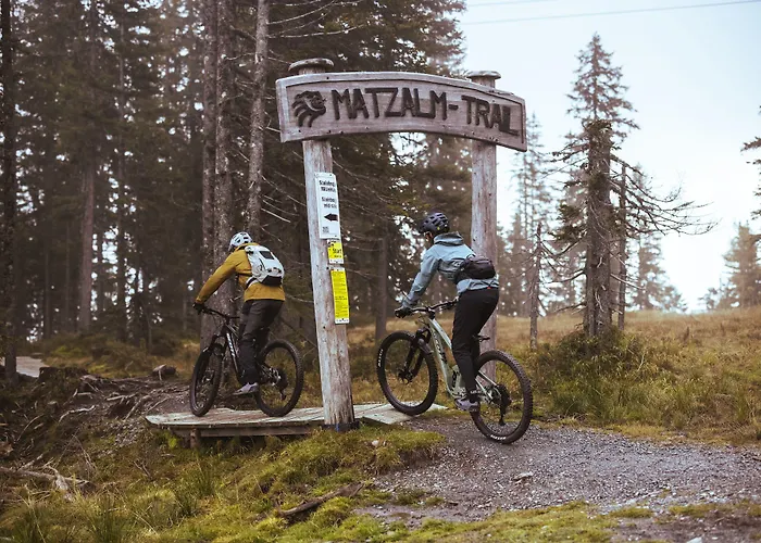 Otel Der Loewe Lebe Frei 4*